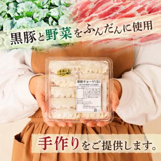 【肉のヨコムラ】鹿児島県産 黒豚100%ギョウザ（10個入×8パック）　K189-003