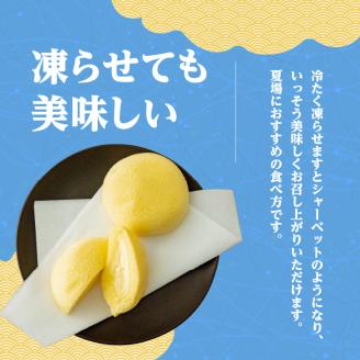 かすたどん 16個入　K167-001