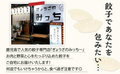 【5営業日以内に発送】鹿児島人気餃子店のお得な餃子食べ比べセット　K118-001
