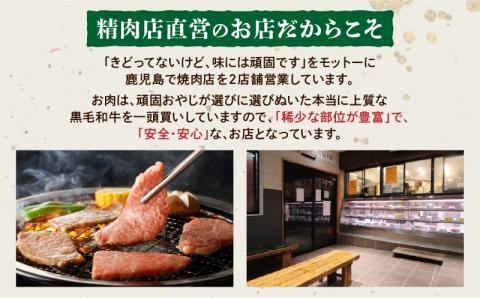 【鹿児島黒毛和牛A4～A5】焼肉特上セット（特上カルビ/特上ロース）　K189-007