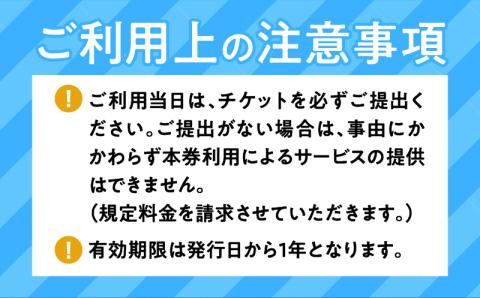 鹿児島市内めぐり3時間コース（ジャンボタクシー）9名様まで　ご利用券　K192-FT003