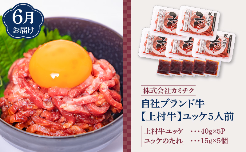 【全3回】鳥刺し・刺身・ユッケ定期便　K000-T2504