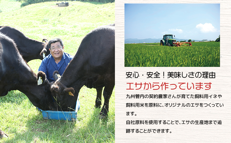 湯煎で簡単！国産牛テールスープ 7Pセット　K002-044