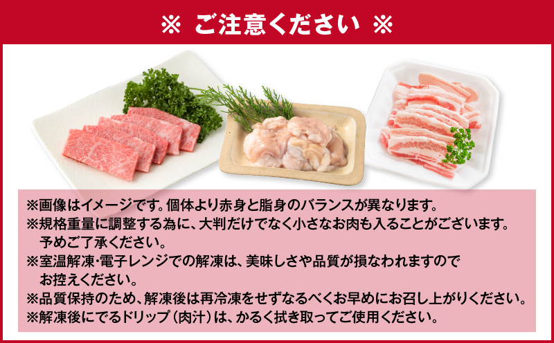 【A5和牛・豚・ホルモン】焼肉セット900g　K002-055