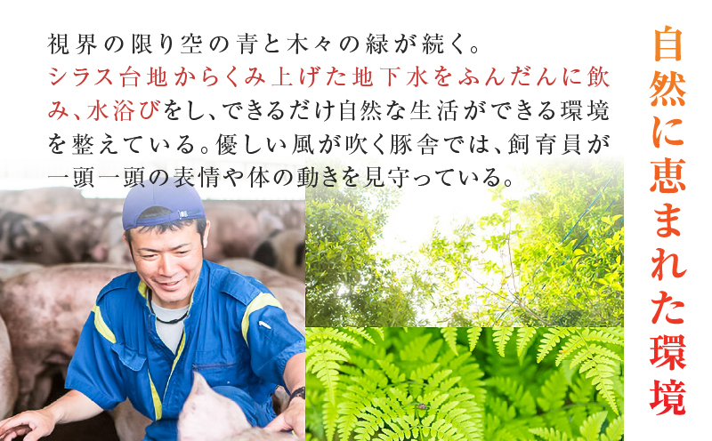 鹿児島うんまか豚生餃子4パック（餃子48個入り・タレ付）　K005-003_01