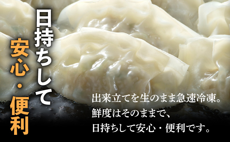 【第1回 日本全国！ご当地冷凍食品大賞 2024-2025 優秀賞受賞！】鹿児島黒豚100%餃子 48個入り　K027-008