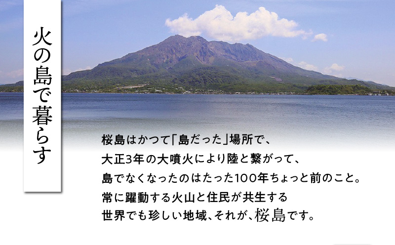 桜島つばきハンドクリーム　5本セット　K062-016