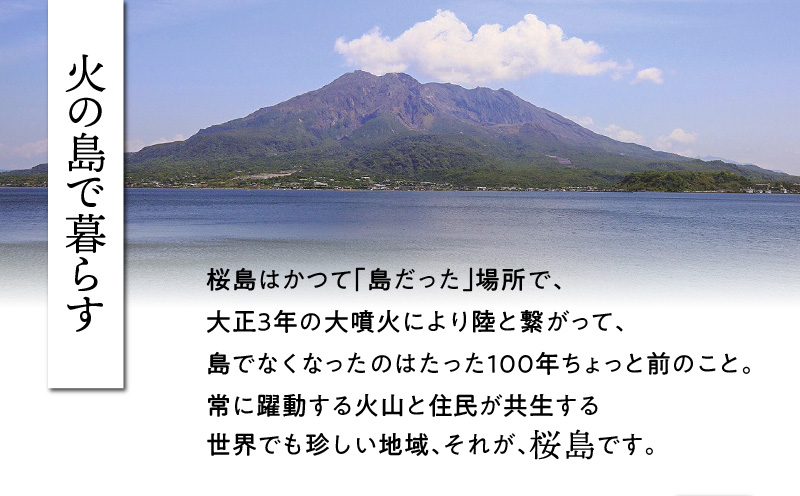 桜島つばきリップクリーム　3本セット　K062-020