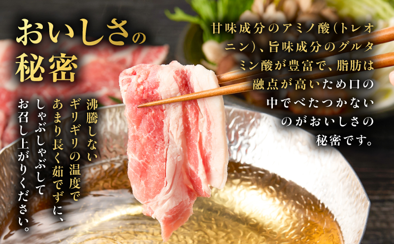 昔ながらの黒豚しゃぶしゃぶセット＜バラ、ロース、肩ロース＞3～4人前　K125-003