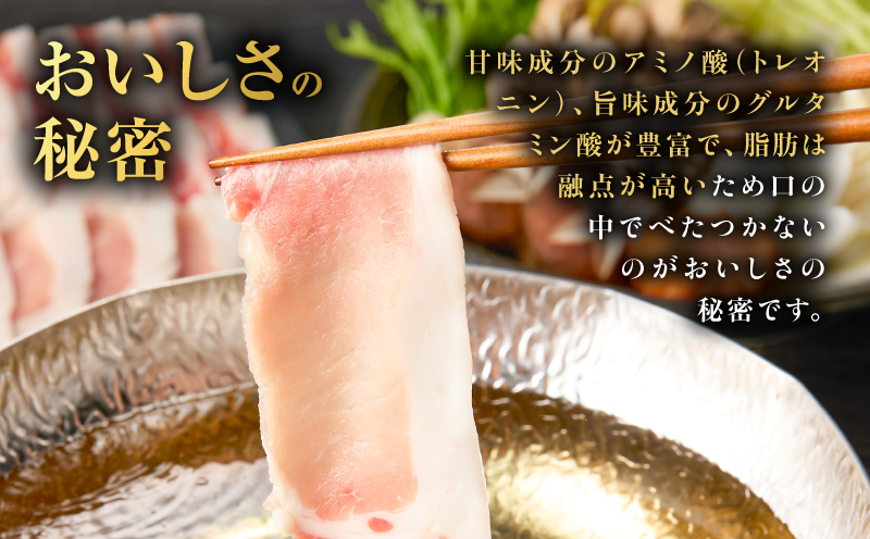 昔ながらの黒豚しゃぶしゃぶセット1.2kg＜ロース、バラ、モモ＞　K125-005