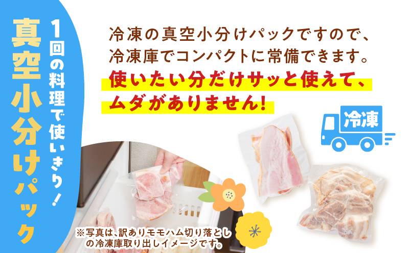 どれがお好み？食べ比べセットB（訳あり切り落としベーコン・訳あり無塩せき乾塩ベーコン切り落とし）　K161-026b
