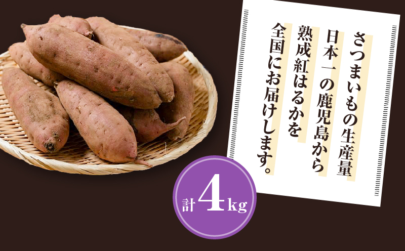 【2025年先行受付】畑の金貨　生芋　紅はるか4kg　K181-006