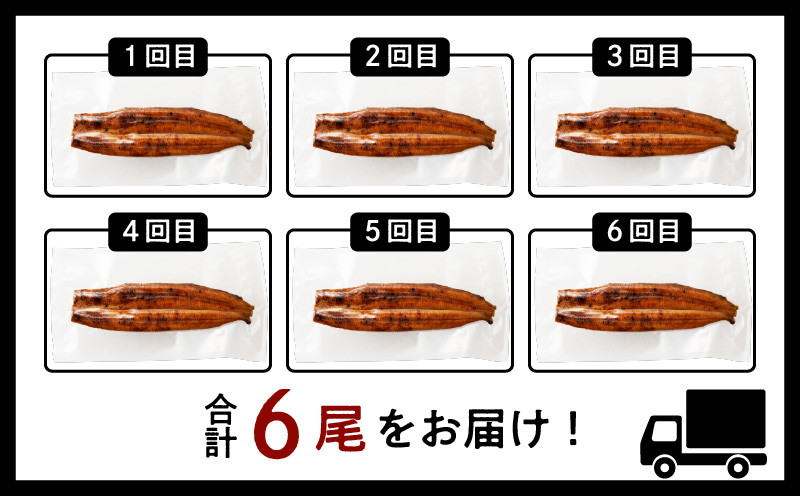 鹿児島市 【全12回定期便】薩摩大とろ鰻蒲焼特大サイズ一尾　K190-T04