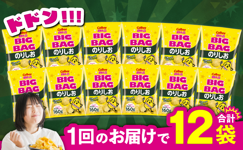 カルビー ポテトチップス BIGBAG【のりしお】12袋　K194-002_08