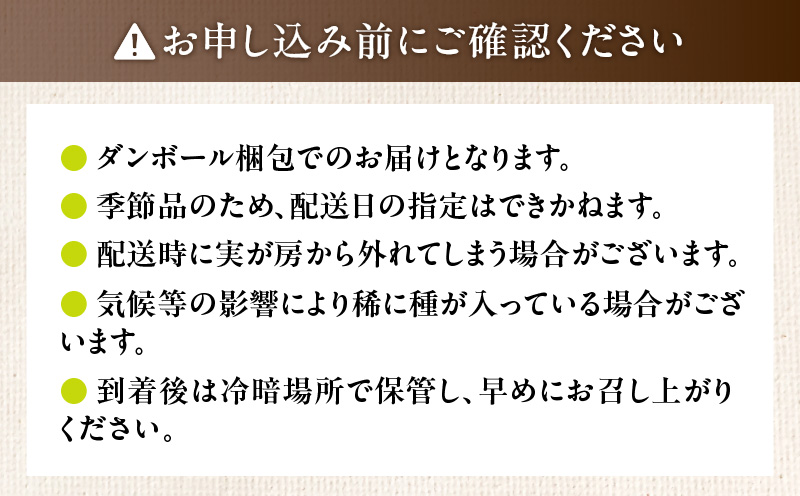 【2025年先行予約】【桜島産】シャインマスカット 3房　K261-001_03