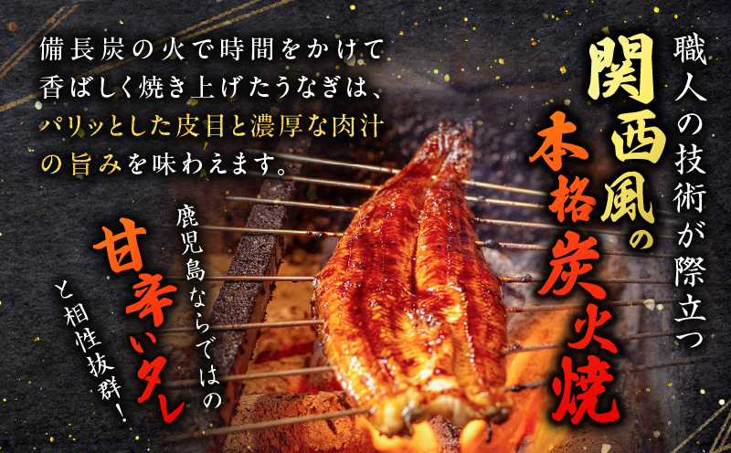 職人が丁寧に仕上げる本格炭火焼 鹿児島県産うなぎの蒲焼き 2尾　K282-001_01