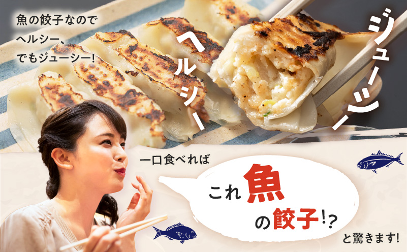 出水田鮮魚のおさかな餃子（8個×4パック）　K294-002