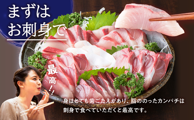 鹿児島県産カンパチ 約3.5kg 刺身用ブロック（ロイン） 活〆※真空包装　K294-003_03
