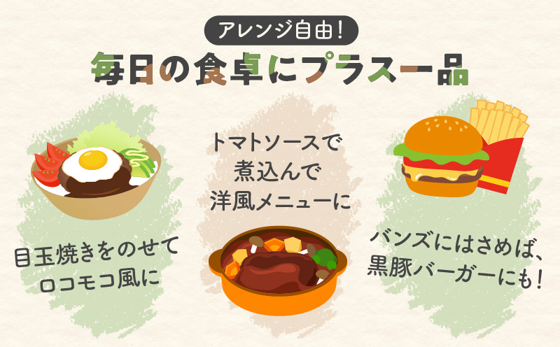 鹿児島県産黒豚 生ハンバーグ詰合せ　K356-005