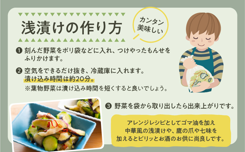 【5営業日以内に発送】ヒシク藤安醸造　浅漬けの素　つけやったもんせ　500ml×6本セット　K026-013