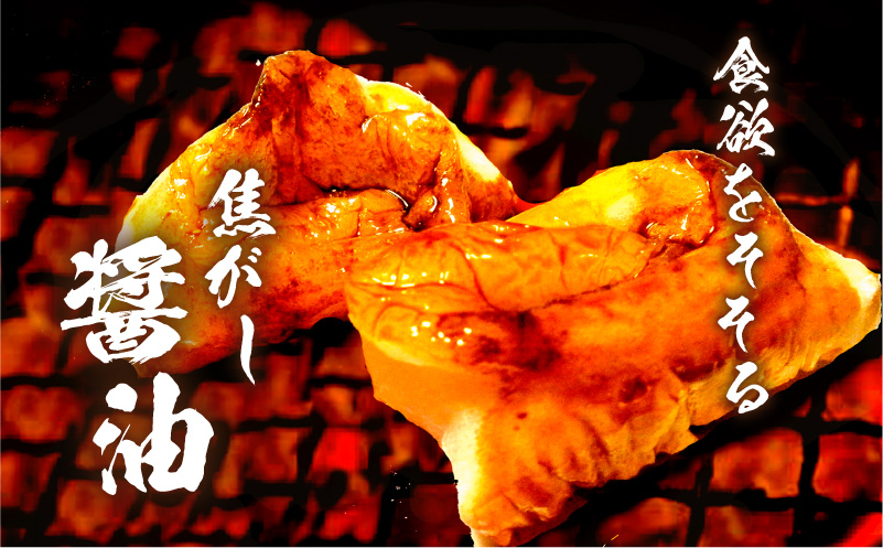 【5営業日以内に発送】ヒシク藤安醸造　極あまくち専醤　K026-002