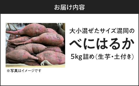 サイズバラバラ熟成べにはるか（生芋）土付き 5kg　K270-001