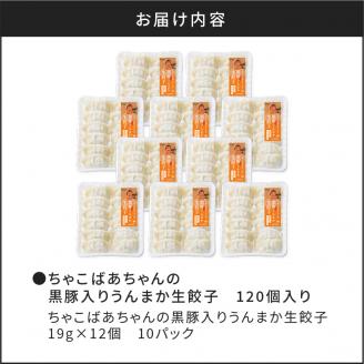 ちゃこばあちゃんの黒豚入りうんまか生餃子　120個入り　K027-003