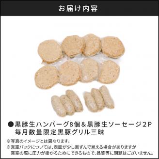 【毎月数量限定】黒豚生ハンバーグ8個＆黒豚生ソーセージ２P「黒豚グリル三昧」　K086-019