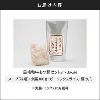 黒毛和牛もつ鍋セット2～3人前　K130-004