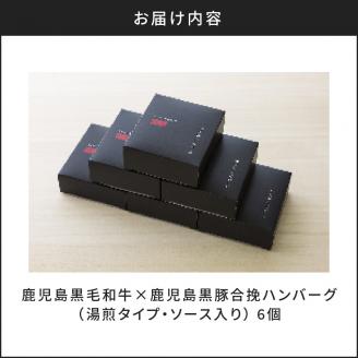 鹿児島黒毛和牛×鹿児島黒豚合挽ハンバーグ（湯煎タイプ・ソース入り）6個　K130-007