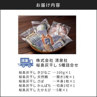 桜島灰干し　5種詰合せ　K178-001