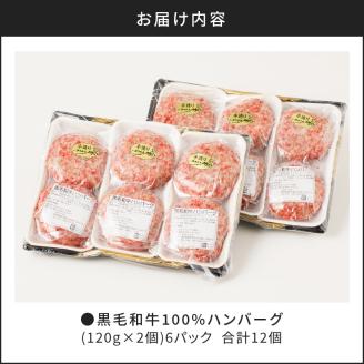【肉のヨコムラ】鹿児島県産 黒毛和牛100%ハンバーグ（2個入×6パック）　K189-004