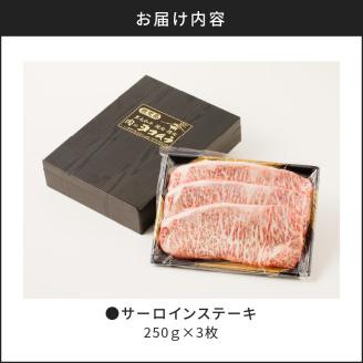 【肉のヨコムラ】鹿児島県産 黒毛和牛サーロインステーキ　K189-005