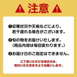 【JA直売所セレクト】6ヵ月定期便！旬鮮野菜・果物セット（12～14品目）　K072-T01