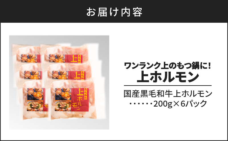 鹿児島市 ワンランク上のもつ鍋に！小腸1.2kg（ホルモン）　K002-004