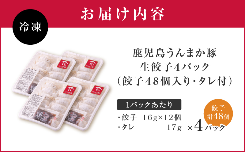 鹿児島うんまか豚生餃子4パック（餃子48個入り・タレ付）　K005-003_01