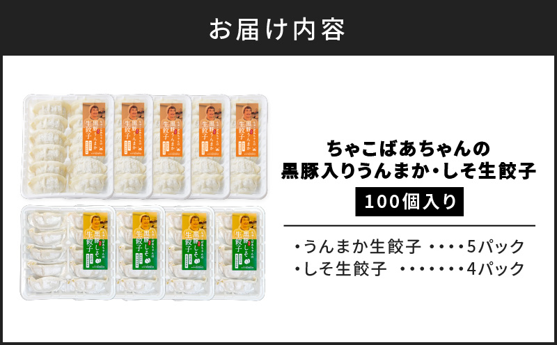 ちゃこばあちゃんの黒豚入りうんまか・しそ生餃子　計100個入り　K027-006