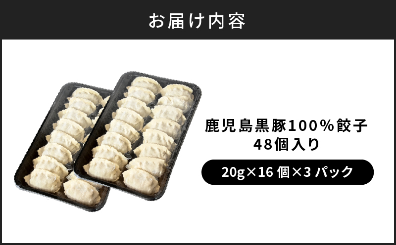 【第1回 日本全国！ご当地冷凍食品大賞 2024-2025 優秀賞受賞！】鹿児島黒豚100%餃子 48個入り　K027-008
