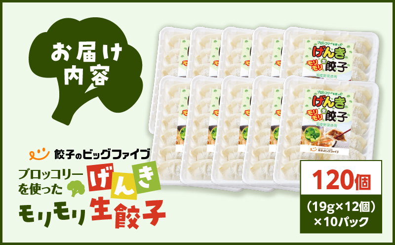 げんきモリモリ生餃子 120個　K027-010_02