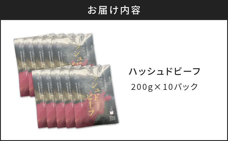 【7営業日以内に発送】【洋食グリル肝付】ハッシュドビーフ 10パック　K084-008_03