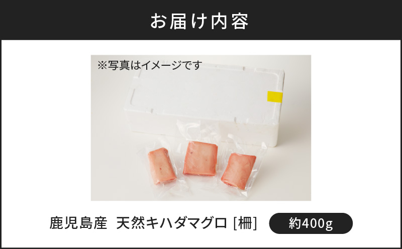 鹿児島産 天然 キハダマグロ 柵 約400g　K100-005