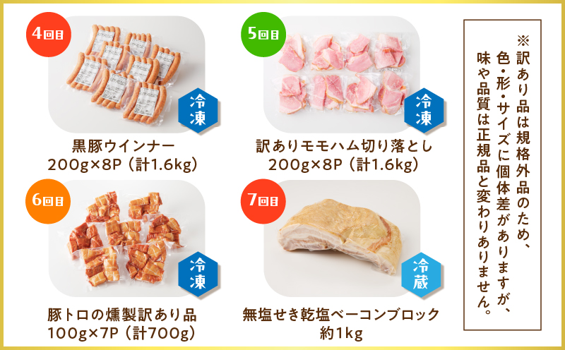 【全7回】盛りだくさん定期便（毎月お届け）　K161-T07m