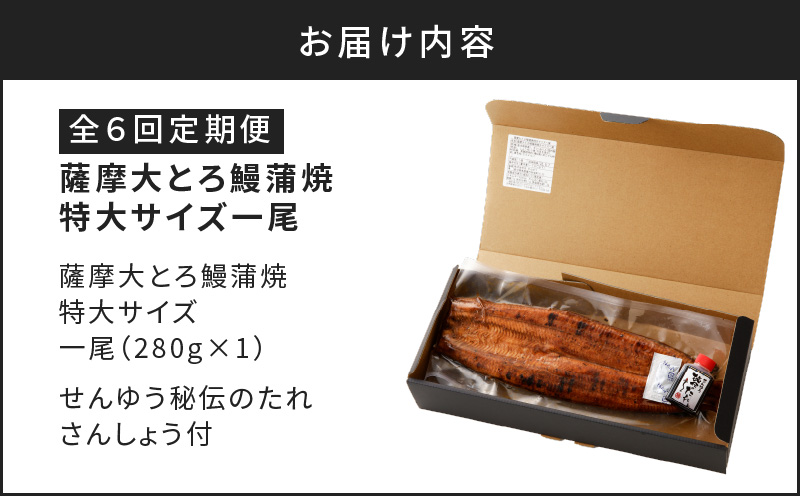 鹿児島市 【全12回定期便】薩摩大とろ鰻蒲焼特大サイズ一尾　K190-T04