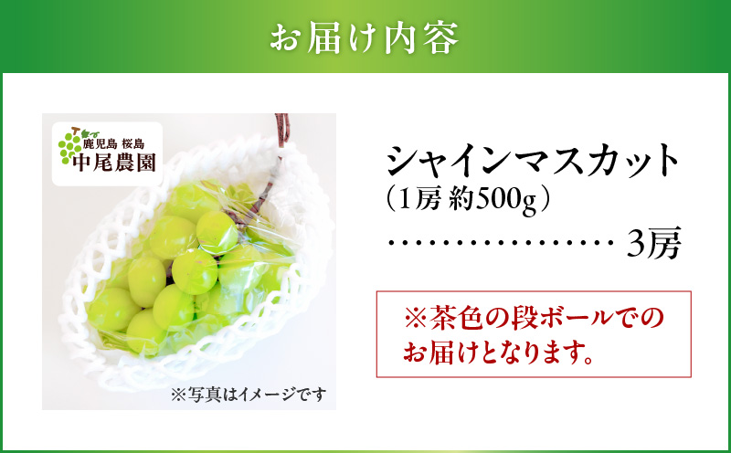 【2025年先行予約】【桜島産】シャインマスカット 3房　K261-001_03