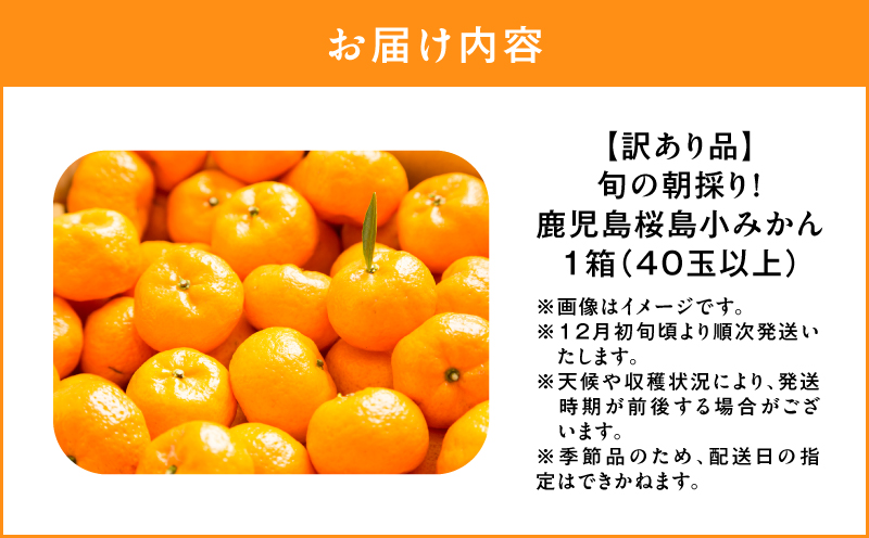 【訳あり品】旬の朝採り！鹿児島桜島小みかん 1箱　K343-003