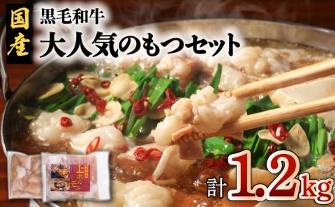 鹿児島市 黒毛和牛！大人気のもつ（ホルモン）セット　K002-006