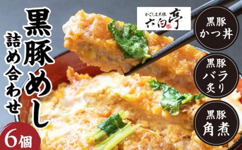 【かごしま黒豚 六白亭】黒豚めし詰合せ 6個　K163-004