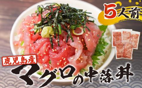 鹿児島産マグロの中落丼 5人前　K100-004