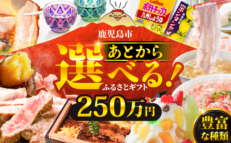 あとからセレクト【ふるさとギフト】250万円　K000-250
