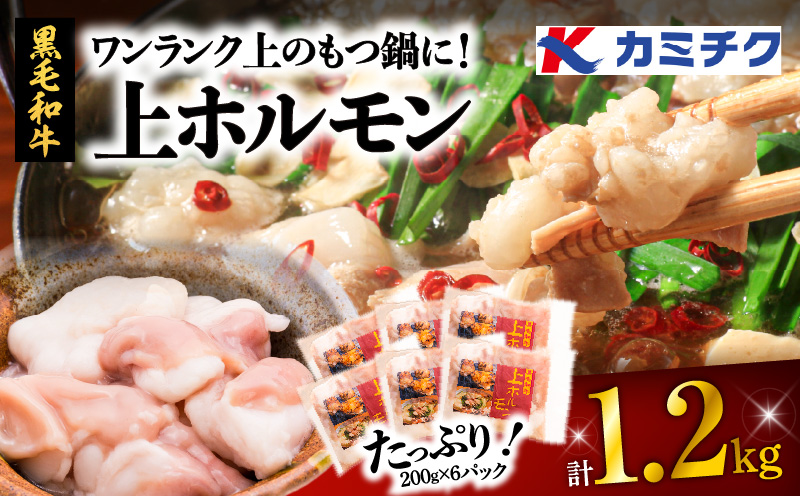 鹿児島市 ワンランク上のもつ鍋に！小腸1.2kg（ホルモン）　K002-004